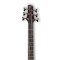 قیمت خرید فروش گیتار باس Ibanez SRC6 WNF